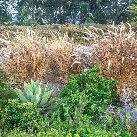 Vila White Mykonos *